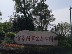-官亭林海