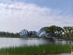 -上海植物园-4号门售票处