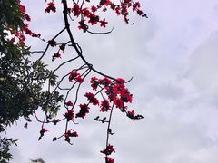 -东山湖公园