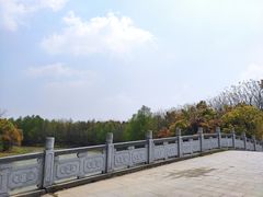 -上海海湾国家森林公园