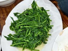 清炒豌豆尖-雨田饭店(华兴东街店)