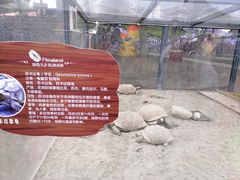 -国色天乡三期陆地乐园