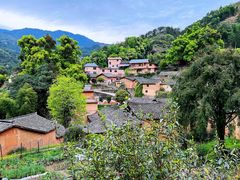 -杨家堂村