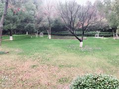 -天目湖御水温泉·度假酒店