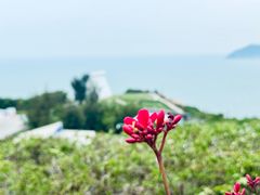 -东澳岛