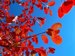 -白水寺森林公园