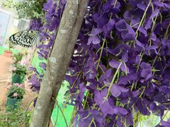 -南宁花花大世界景区