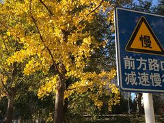 -北京理工大学新食堂