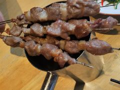 只撒盐的羊肉串-蒙料·手把肉(望京店)