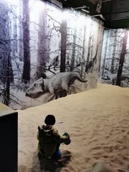 -恐龙探索乐园(磁器口店)