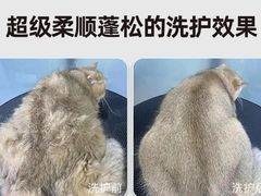 -爱洗澡的猫(望京店)