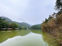 -南岳衡山风景名胜区