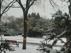 -中国人民抗日战争纪念雕塑园