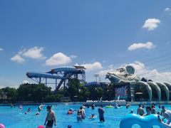 -苏州乐园森林水世界