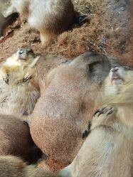 -Zoolung Zoolung动物主题公园(海信广场店)