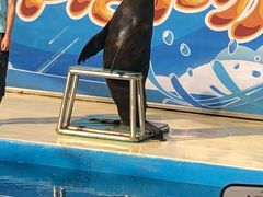 -厦门海底世界