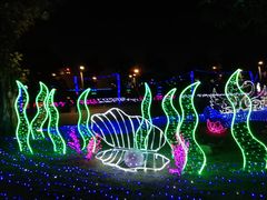 -琅岐红光湖公园