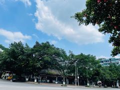 -燊海井