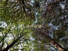 -上海辰山植物园