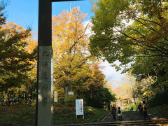 -北海道神宫
