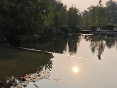 -云溪植物园