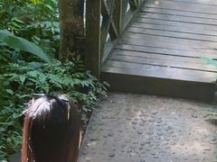 -关西瀑布