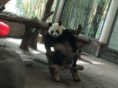 -宁波野生动物园