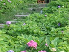 -宜兴龙背山森林公园