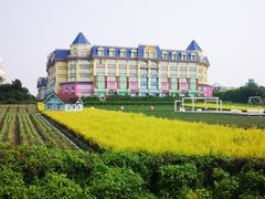 -百万葵园