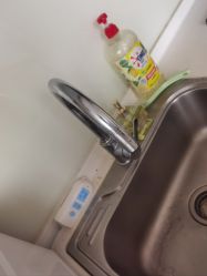 -LUNA皮相美·骨相美高级美感