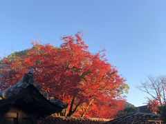 -醍醐寺