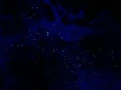 -怀托摩萤火虫洞