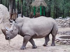 -北京野生动物园