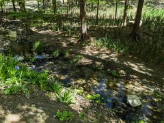 -白水寺森林公园