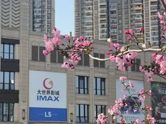 -大世界影城(无锡江南大悦城IMAX激光店)