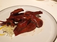 乳鸽-三号黄浦会Canton Table