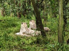 -云南野生动物园