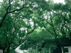-上海醉白池公园