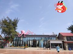 -江山半岛白浪滩景区
