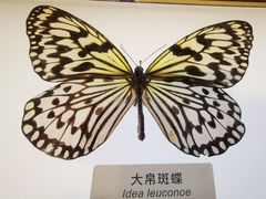 -中国湿地博物馆