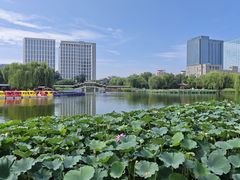 -西海子公园