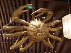 -蟹将军·松叶蟹和牛日料放题自助(K11店)
