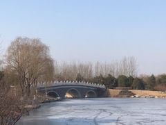 -大兴滨河森林公园