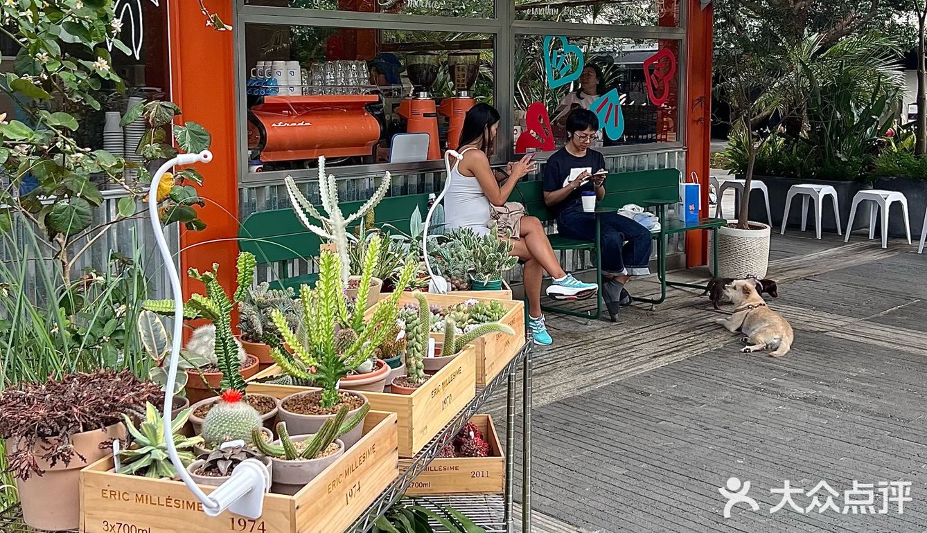 点了一桌很健康的菜朋友辣评你是被绿了吗⁉️