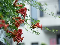 -杭州西湖风景名胜区-满觉陇四眼井