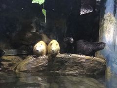 -蓬莱欧乐堡海洋极地世界