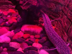 -上海海洋水族馆