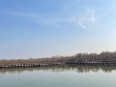 -西青郊野公园