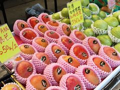 -油麻地果栏
