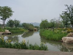 -长田漾湿地公园